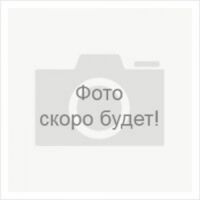 Фото PL 804050 BPI 1800 mAh